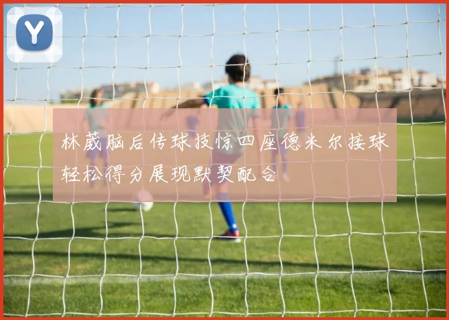 林葳脑后传球技惊四座德米尔接球轻松得分展现默契配合